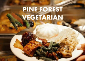 Pine Forest Vegetarian Restaurant at D2