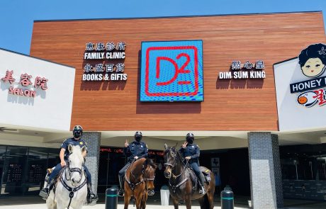 Mounted Patrol at D-Square